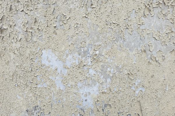damp wall